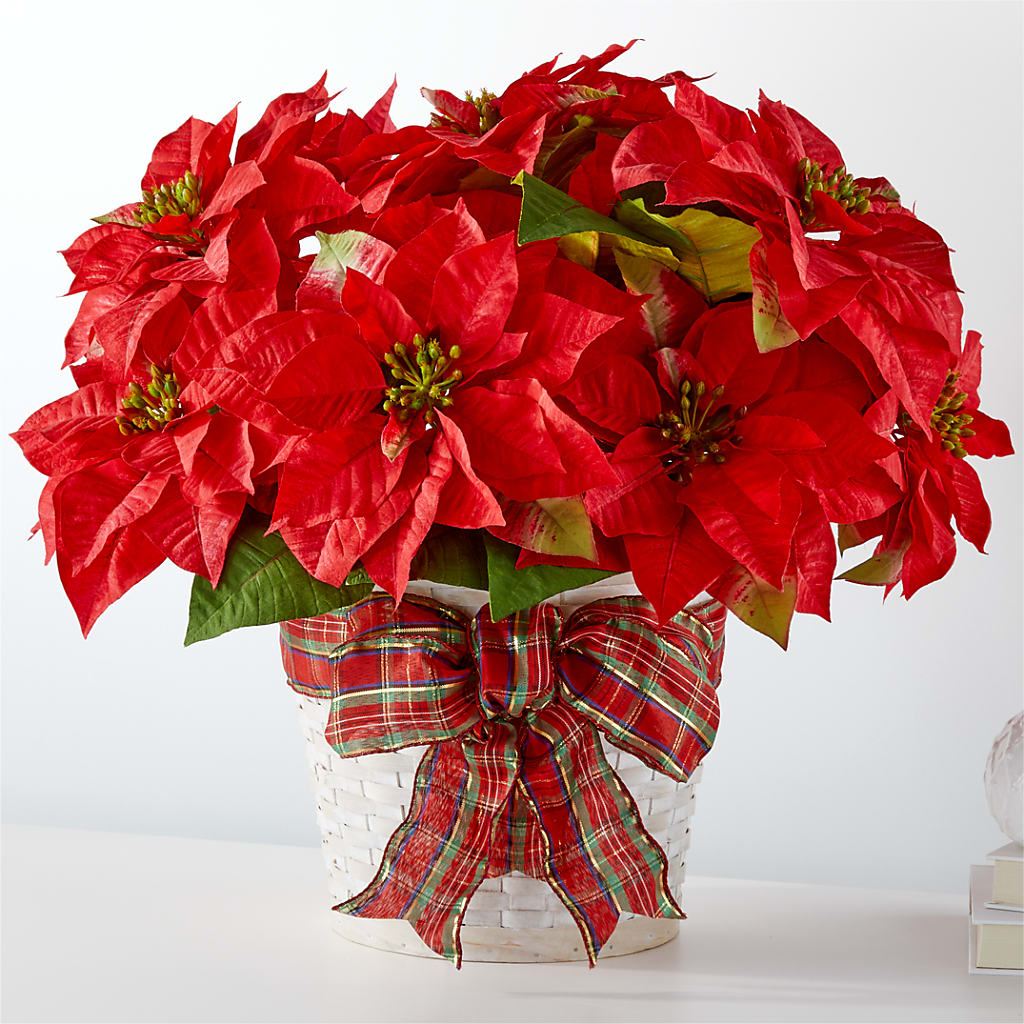 Happiest Holidays Poinsettia – Caines Flowers, Barberton OH