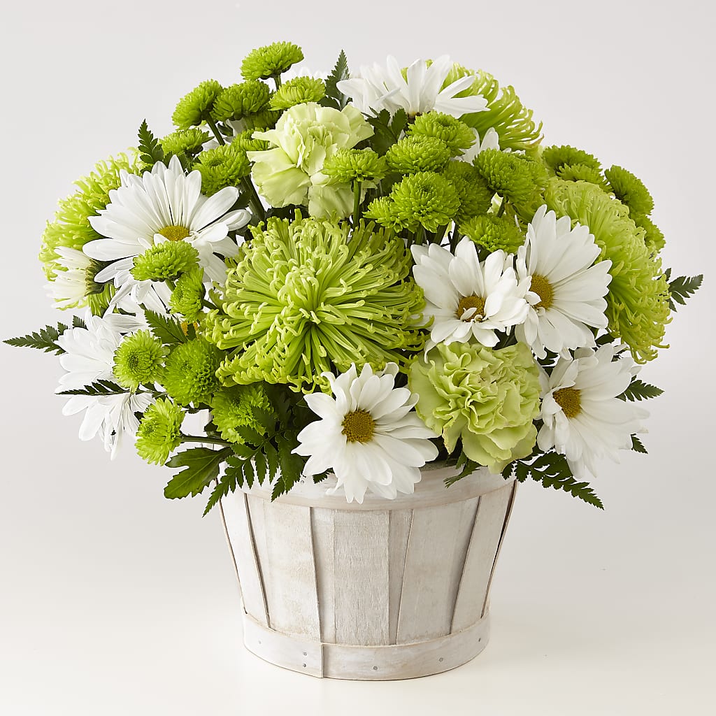 Lucky Charm Basket (Standard) – Caines Flowers, Barberton OH