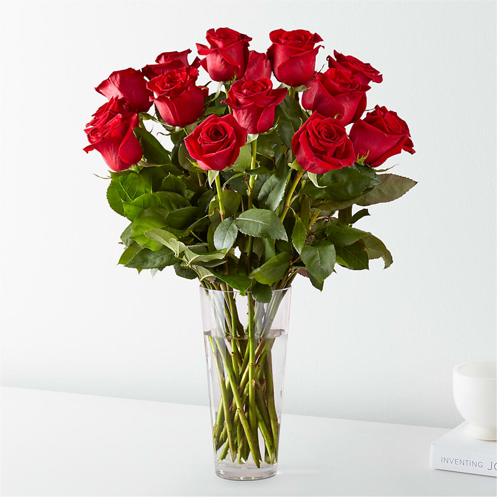 Long Stem Red Rose Bouquet – Caines Flowers, Barberton OH