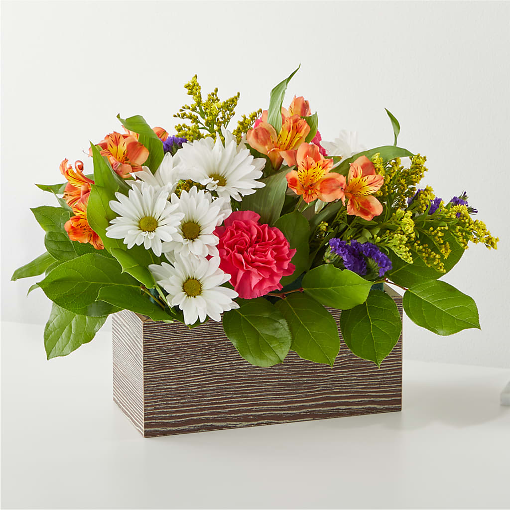 Oopsie Daisy Box Bouquet – Caines Flowers, Barberton OH