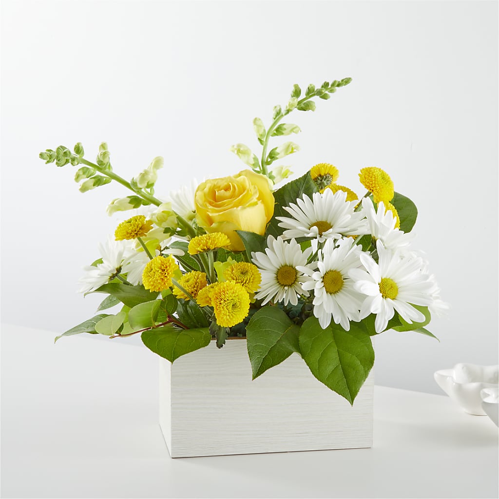 Sun Salutation Box Bouquet – Caines Flowers, Barberton OH