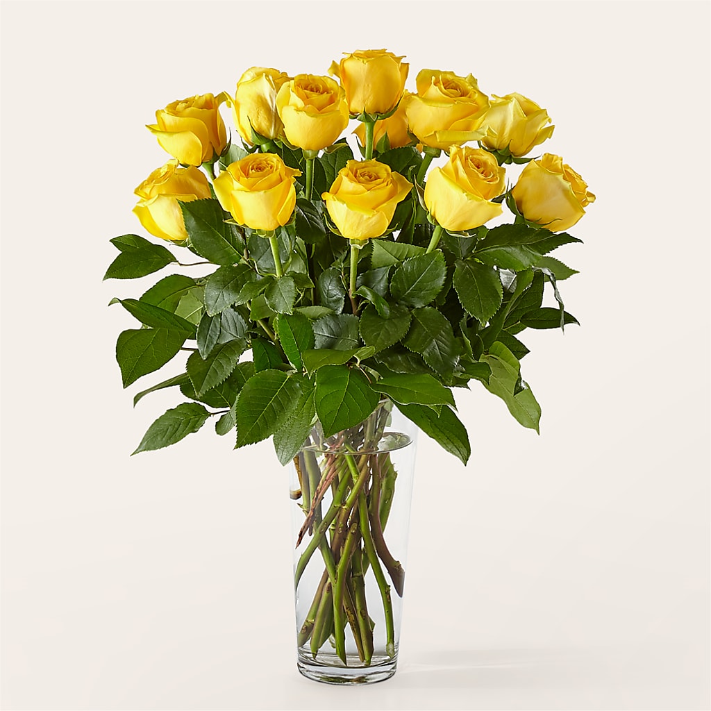 Long Stem Yellow Rose Bouquet – Caines Flowers, Barberton OH