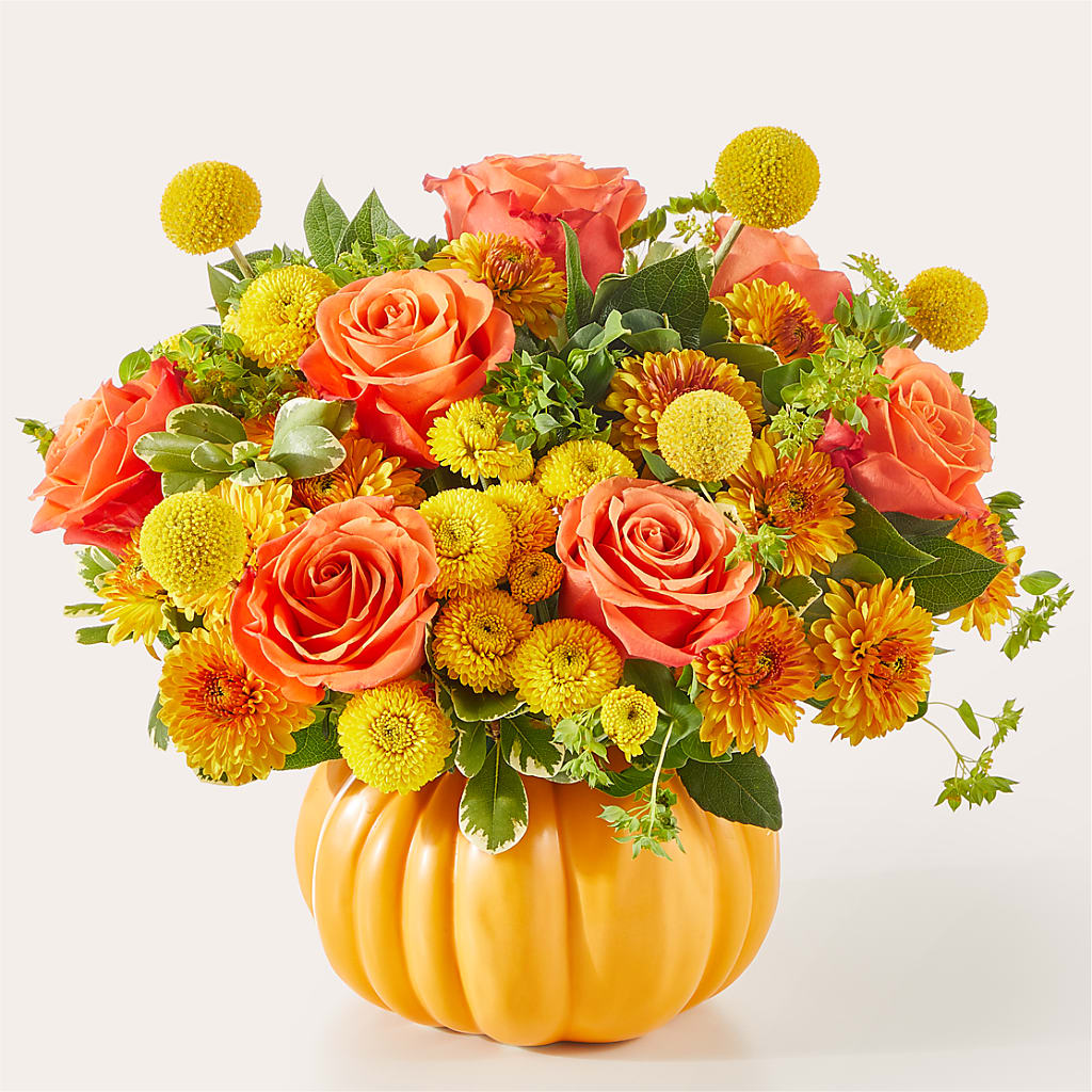 Gourdgeous Pumpkin – Caines Flowers, Barberton OH