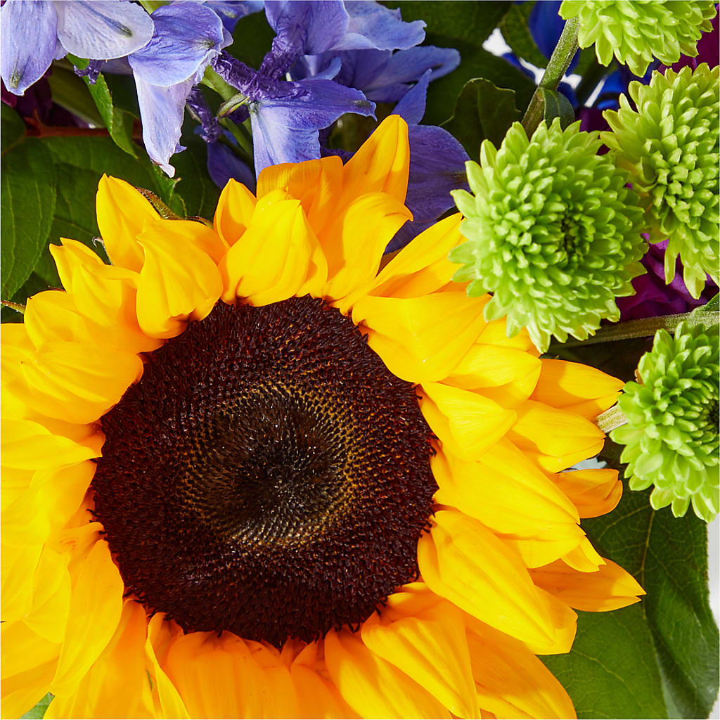 Catching Rays Bouquet – Caines Flowers, Barberton OH