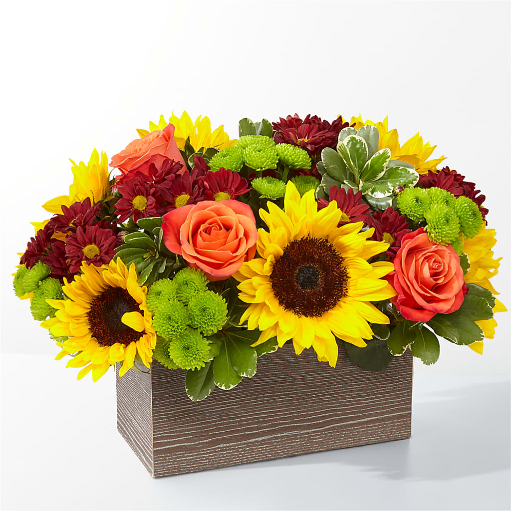 Happy Harvest Garden – Caines Flowers, Barberton OH
