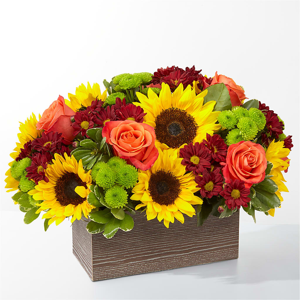 Happy Harvest Garden – Caines Flowers, Barberton OH