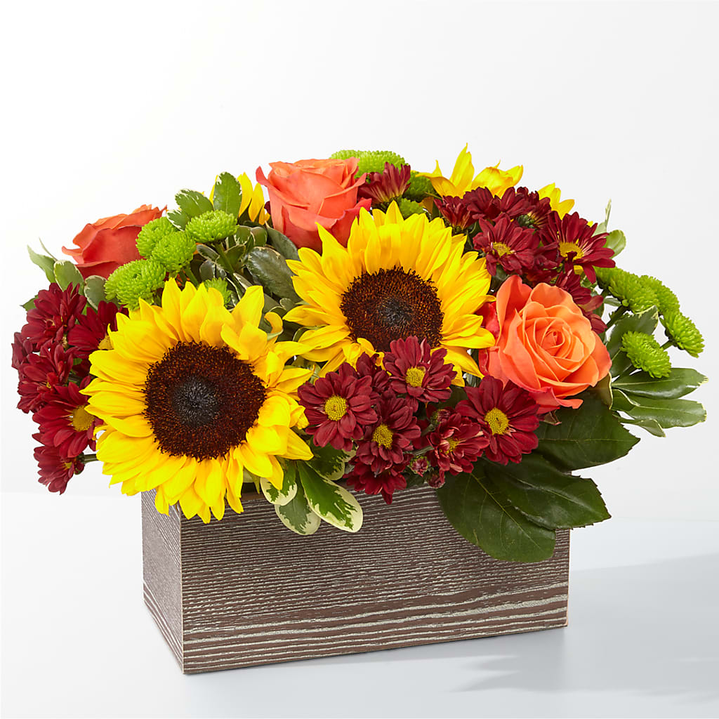 Happy Harvest Garden – Caines Flowers, Barberton OH