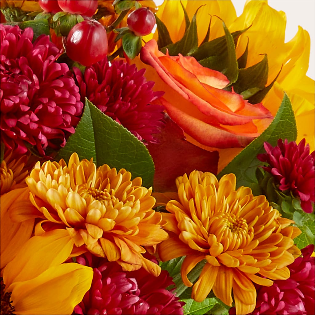 Sweater Season - A Florist Original – Caines Flowers, Barberton OH