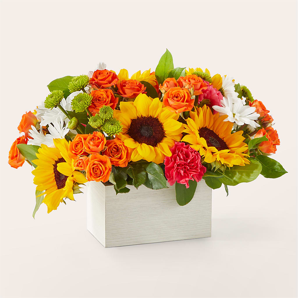 Sun-drenched Blooms Box Bouquet – Caines Flowers, Barberton OH