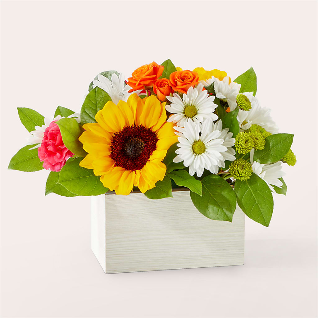 Sun-drenched Blooms Box Bouquet – Caines Flowers, Barberton OH