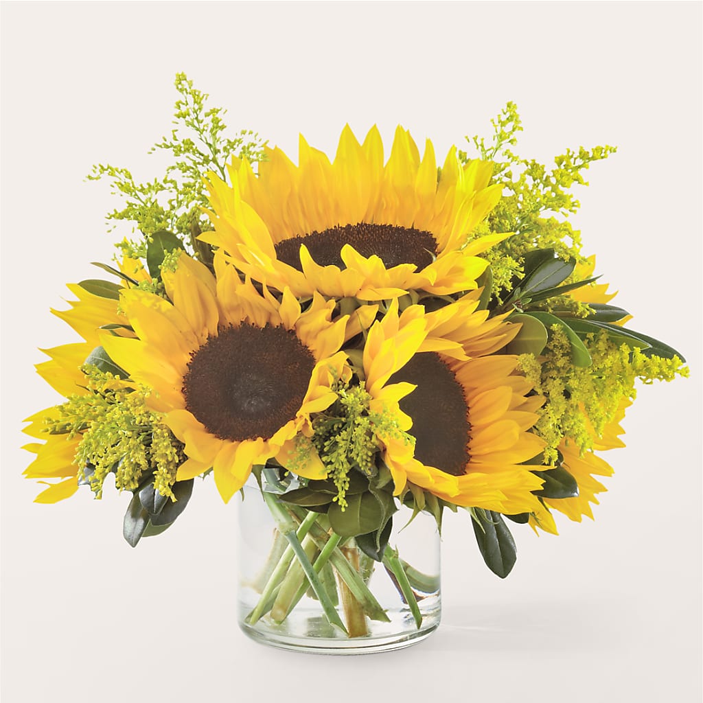 Beaming Sunflower Bouquet – Caines Flowers, Barberton OH