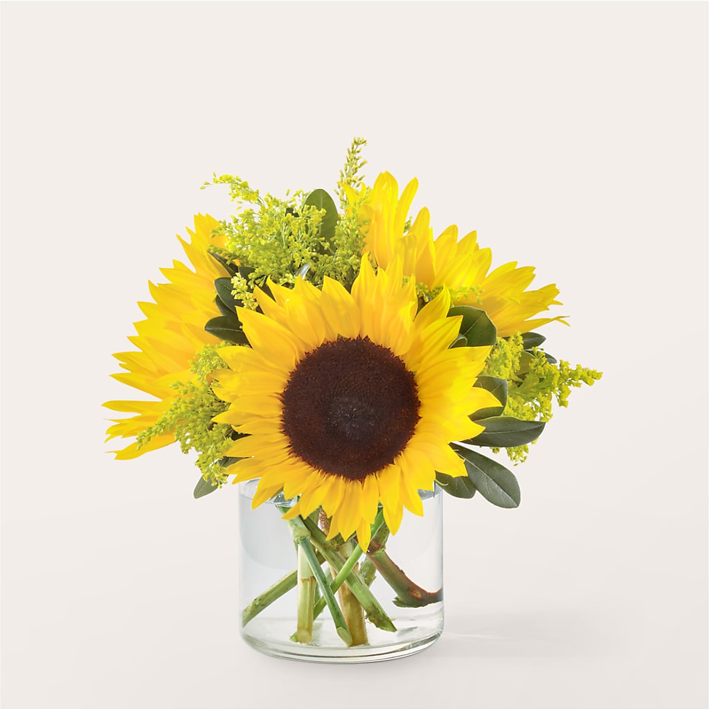 Beaming Sunflower Bouquet – Caines Flowers, Barberton OH