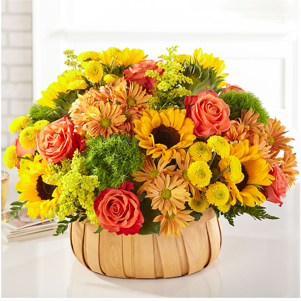 Harvest Sunflower Basket – Caines Flowers, Barberton OH