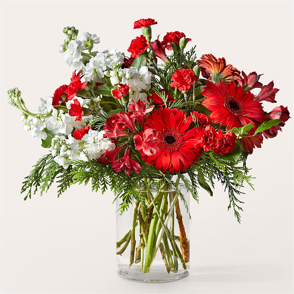 Holidaisy Bouquet – Caines Flowers, Barberton OH