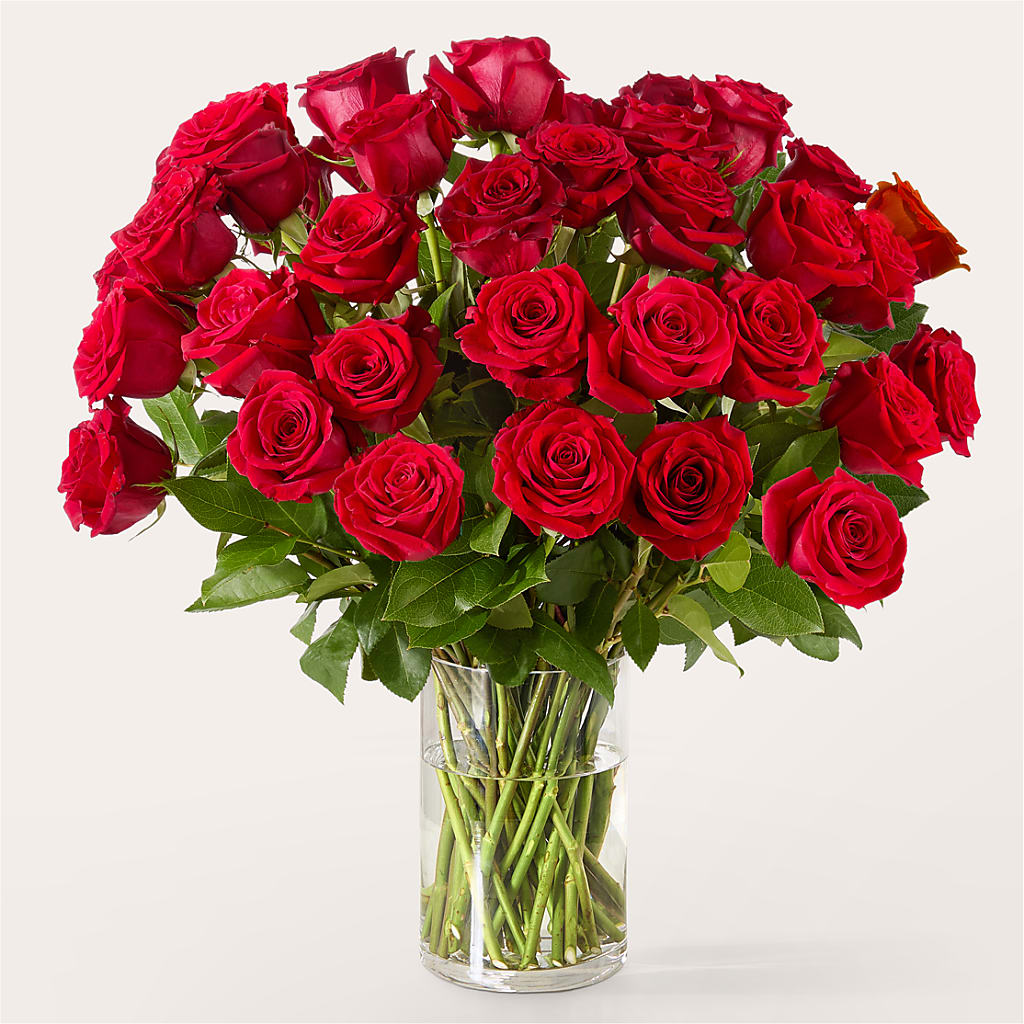The One Red Rose Bouquet – Caines Flowers, Barberton OH