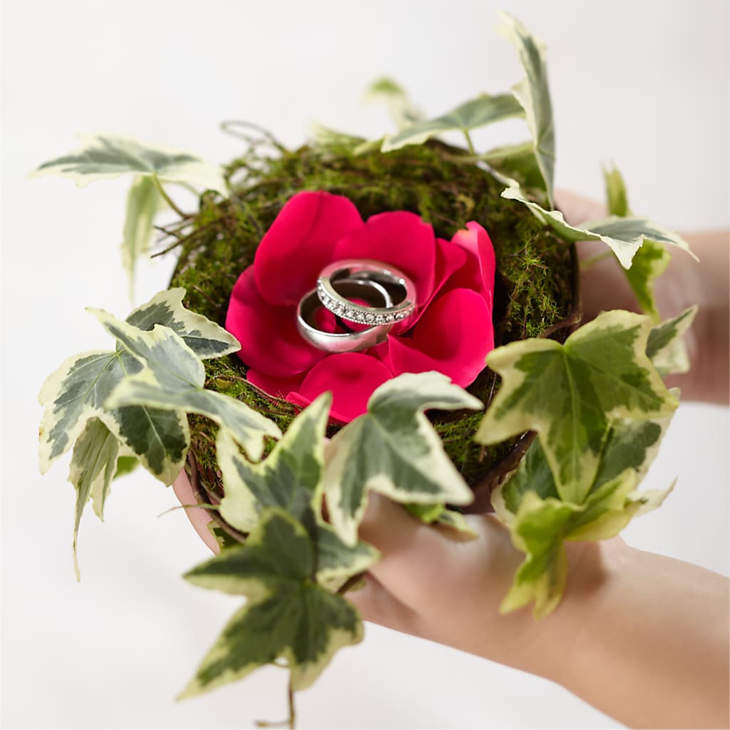 Lila Rose Ring Nest – Caines Flowers, Barberton OH