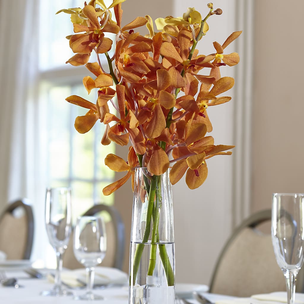 Orange Mokara Bud Vase – Caines Flowers, Barberton OH