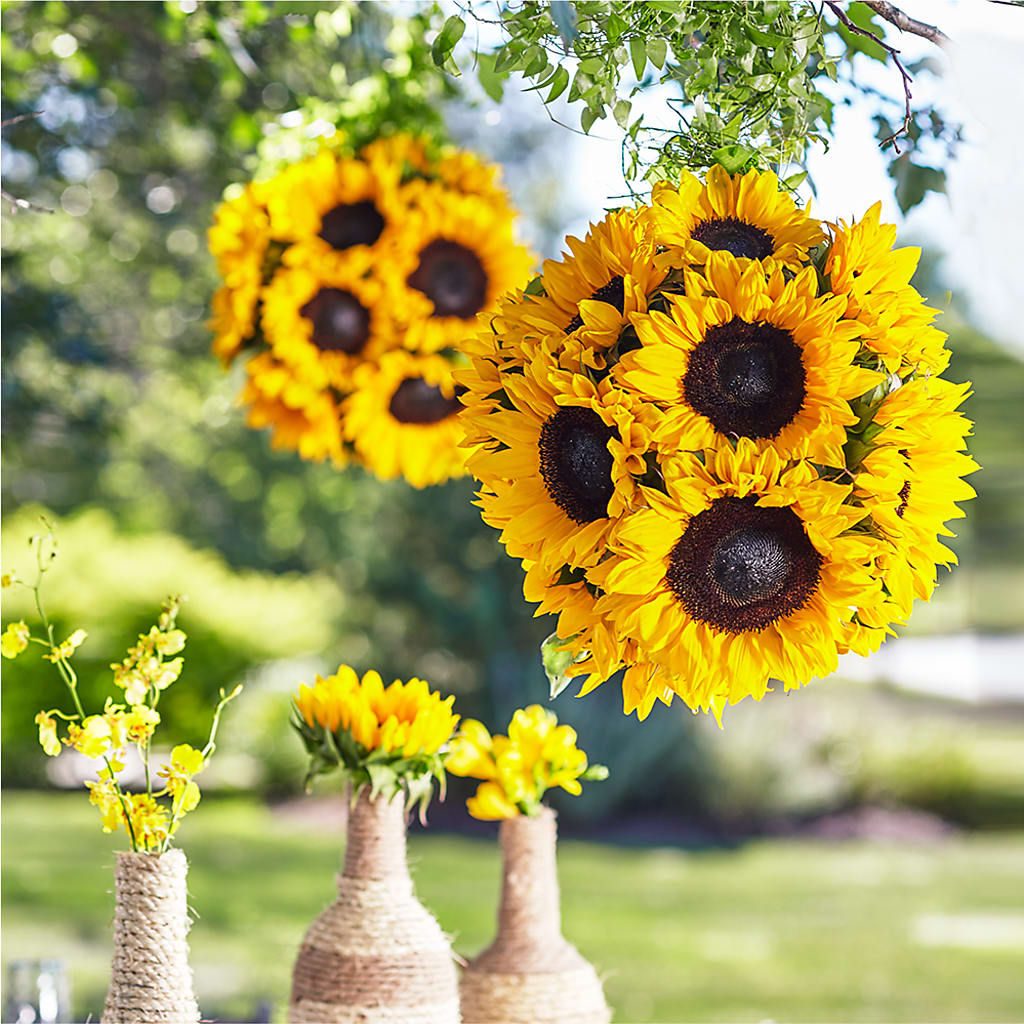 Sublime Garden Hanging Arrangement – Caines Flowers, Barberton OH