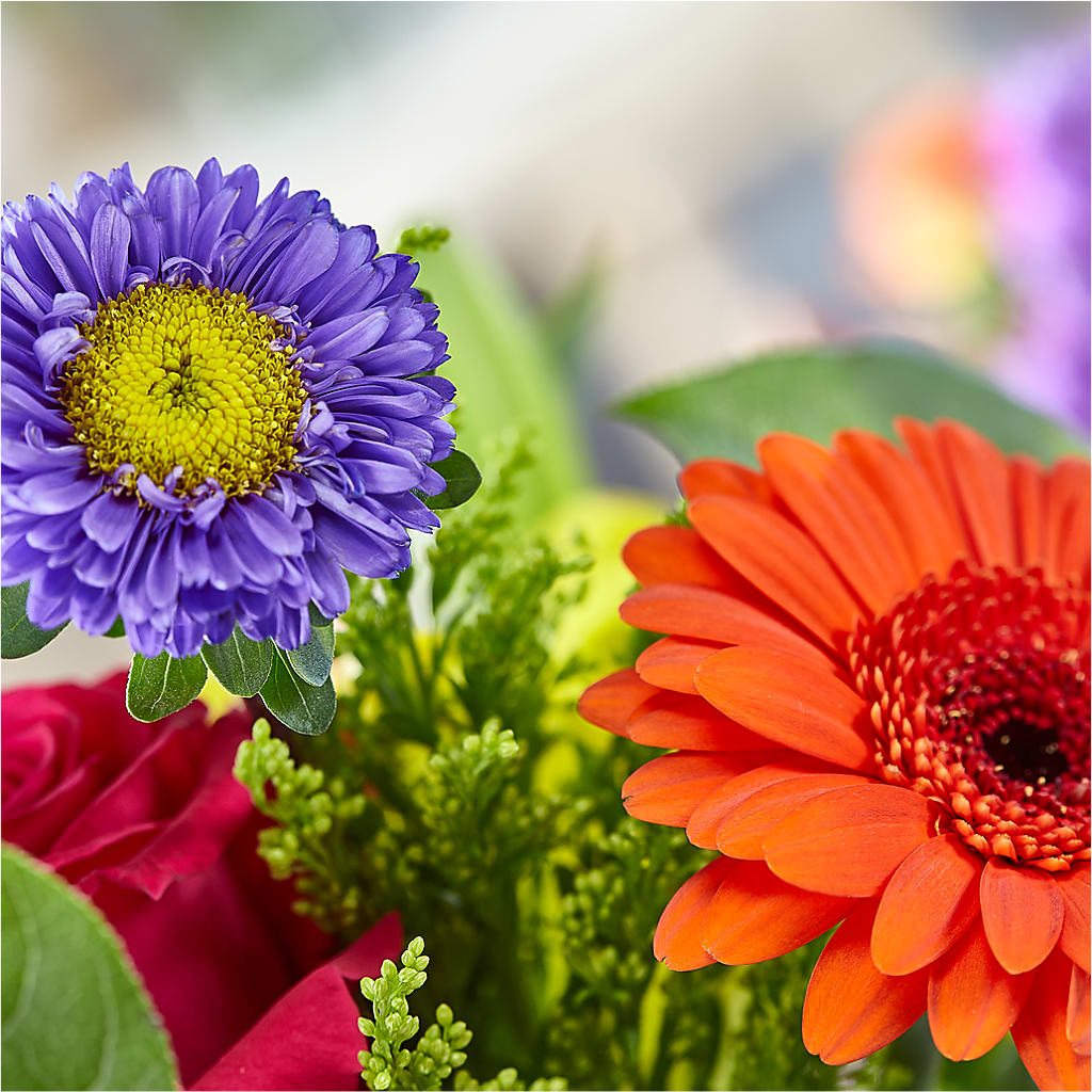 Bold & Bright – A Florist Original –  Caines Flowers, Barberton OH
