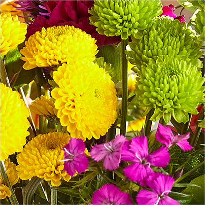 Bold & Bright – A Florist Original –  Caines Flowers, Barberton OH