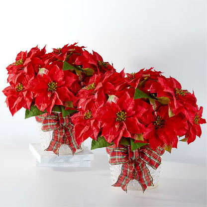 Happiest Holidays Poinsettia Bundle –  Caines Flowers, Barberton OH
