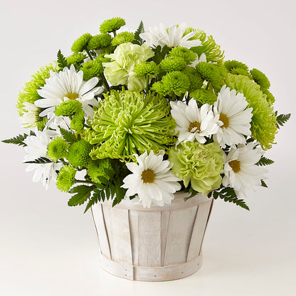 Lucky Charm Basket (Standard) –  Caines Flowers, Barberton OH