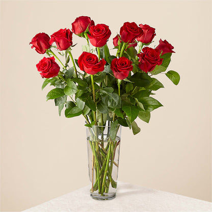 Long Stem Red Rose Bouquet –  Caines Flowers, Barberton OH