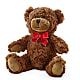 Adorable Plush Bear –  Caines Flowers, Barberton OH