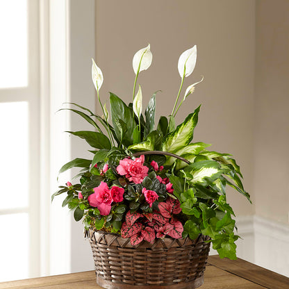 Dream in Pink Dishgarden –  Caines Flowers, Barberton OH