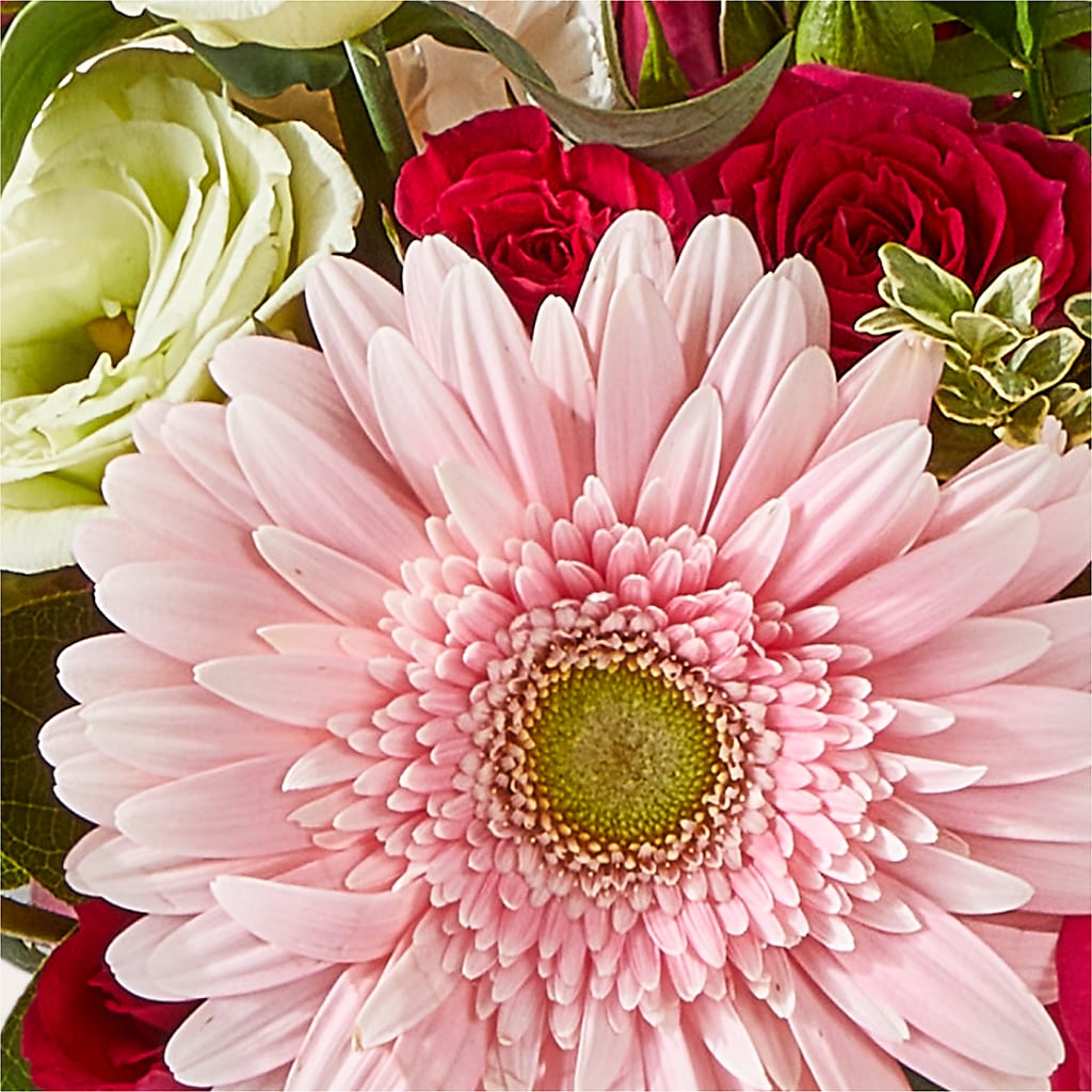 Too Cute Bouquet –  Caines Flowers, Barberton OH