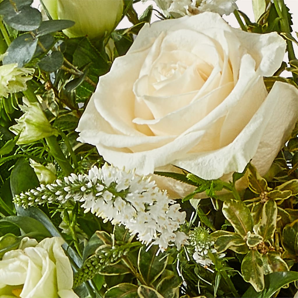 Cashmere Bouquet –  Caines Flowers, Barberton OH