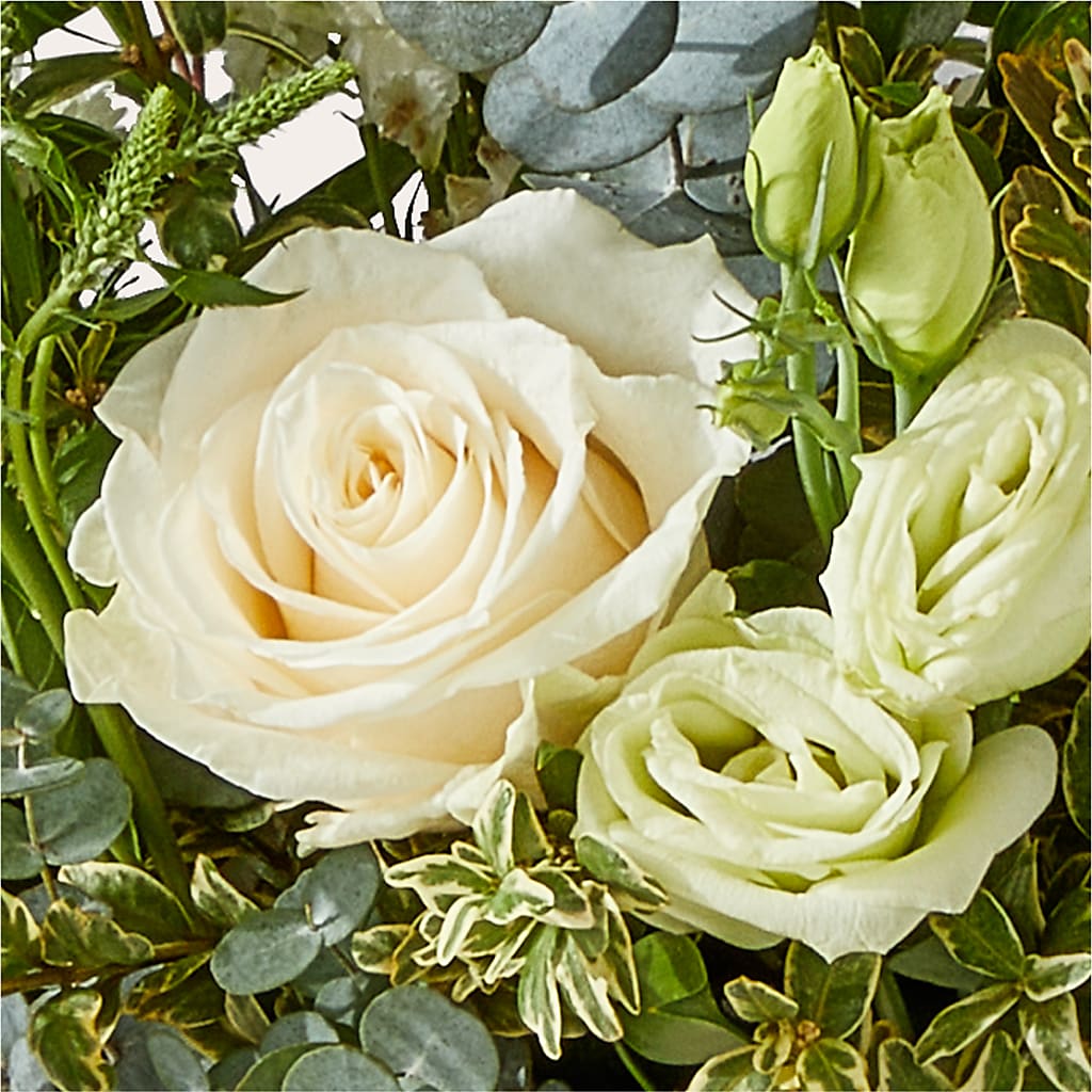 Cashmere Bouquet –  Caines Flowers, Barberton OH