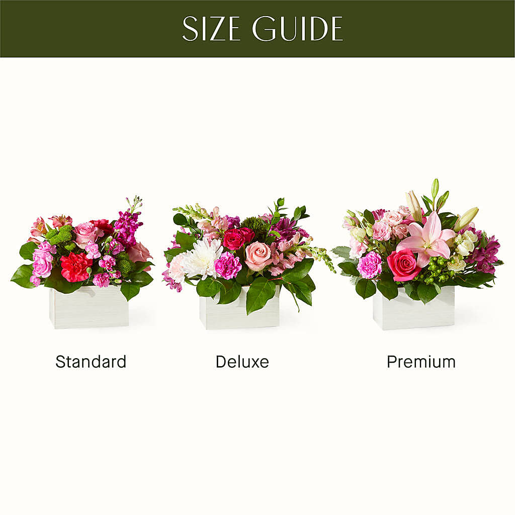 Sweetberry Box – A Florist Original –  Caines Flowers, Barberton OH
