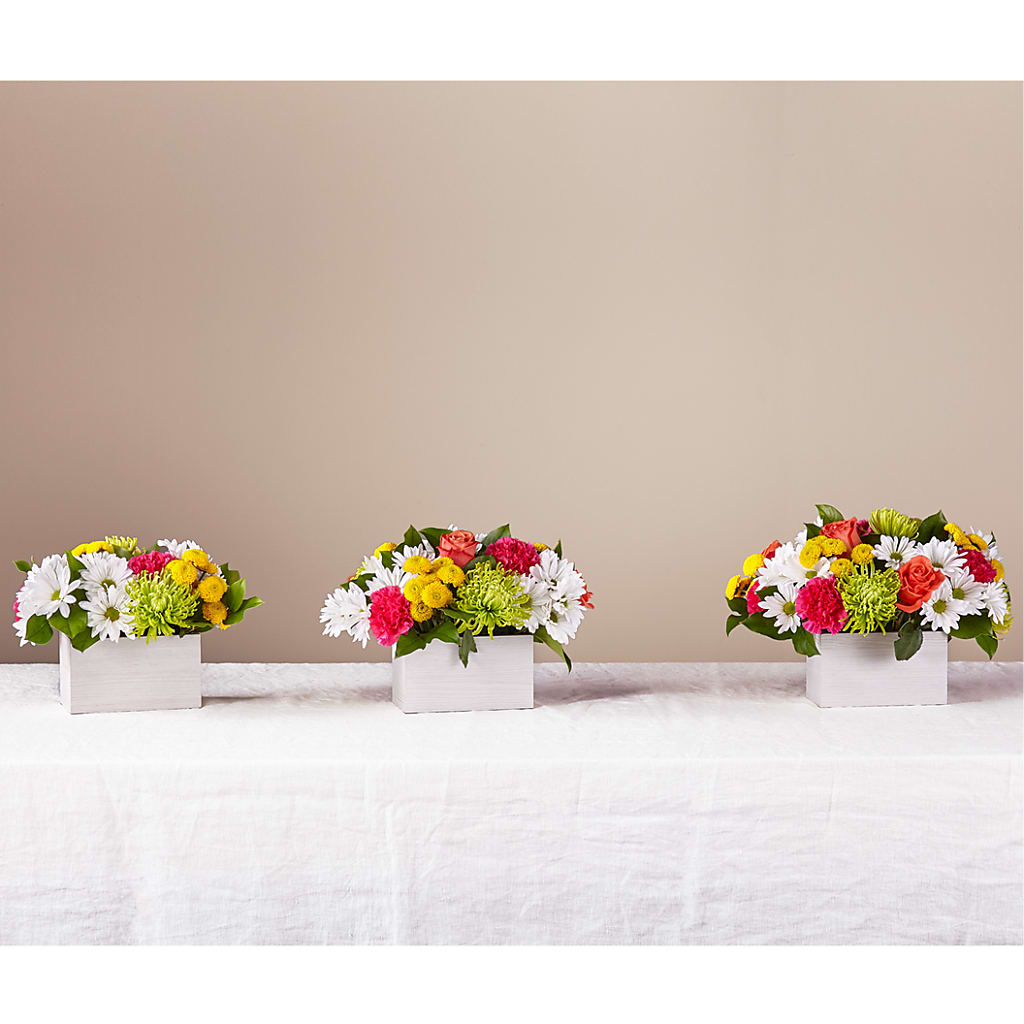 Sorbet Bouquet –  Caines Flowers, Barberton OH