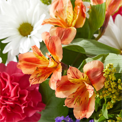 Oopsie Daisy Box Bouquet –  Caines Flowers, Barberton OH