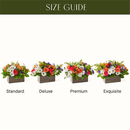 Oopsie Daisy Box Bouquet –  Caines Flowers, Barberton OH