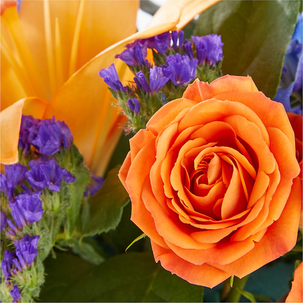 Radiant Citrus Box Bouquet –  Caines Flowers, Barberton OH