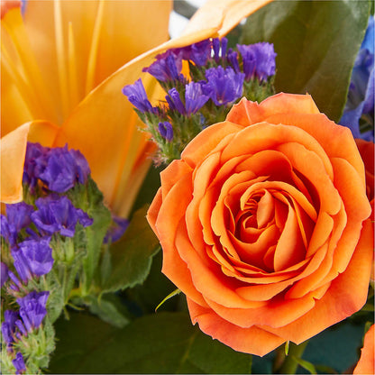 Radiant Citrus Box Bouquet –  Caines Flowers, Barberton OH