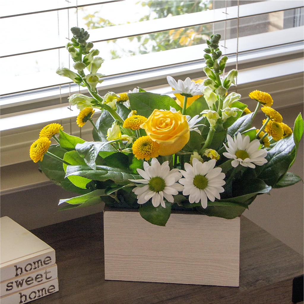 Sun Salutation Box Bouquet –  Caines Flowers, Barberton OH