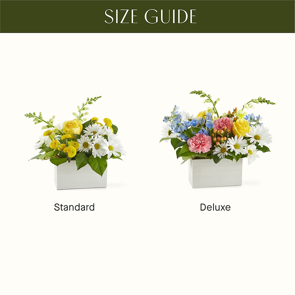 Sun Salutation Box Bouquet –  Caines Flowers, Barberton OH