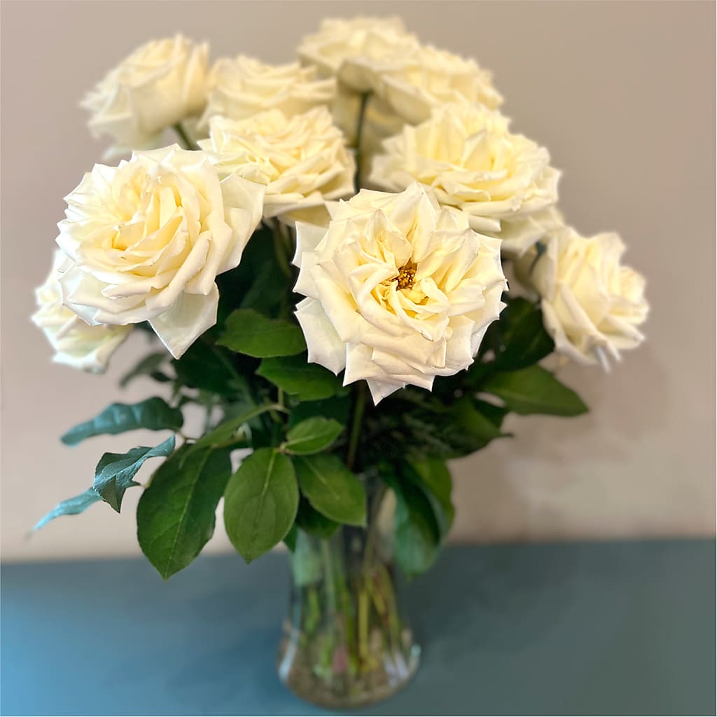 Long Stem Yellow Rose Bouquet –  Caines Flowers, Barberton OH