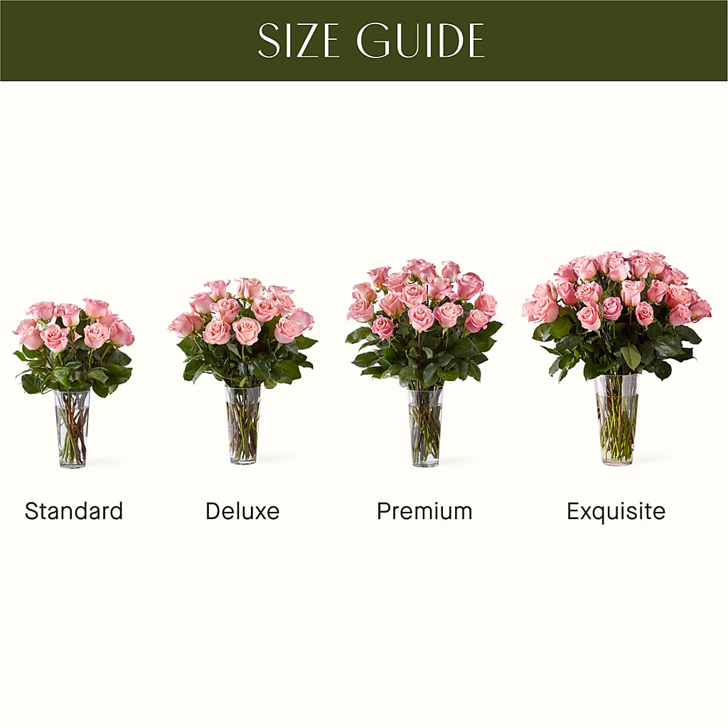 Long Stem Pink Rose Bouquet –  Caines Flowers, Barberton OH