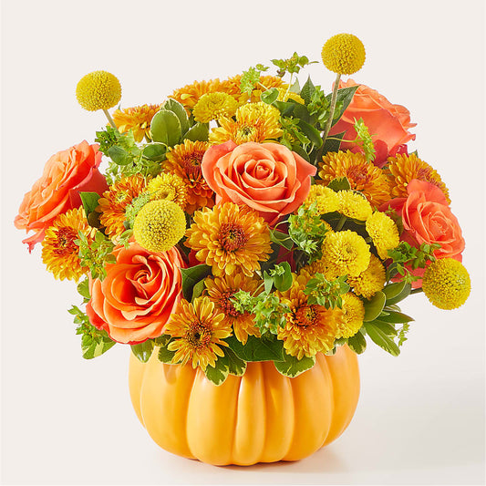 Gourdgeous Pumpkin –  Caines Flowers, Barberton OH