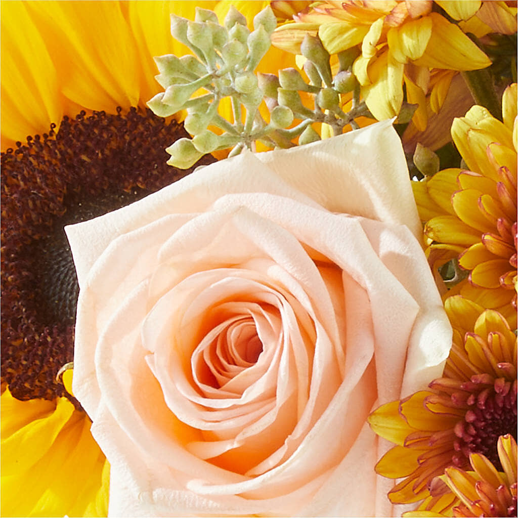 Pumpkin to Talk About Bouquet –  Caines Flowers, Barberton OH