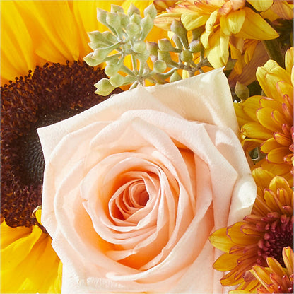 Pumpkin to Talk About Bouquet –  Caines Flowers, Barberton OH