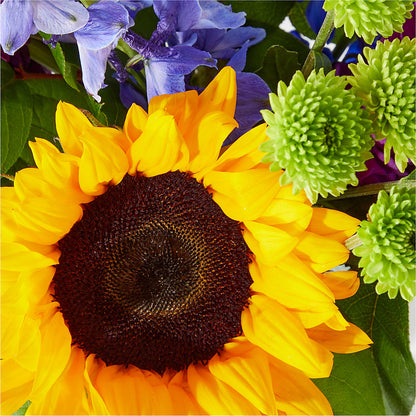 Catching Rays Bouquet –  Caines Flowers, Barberton OH