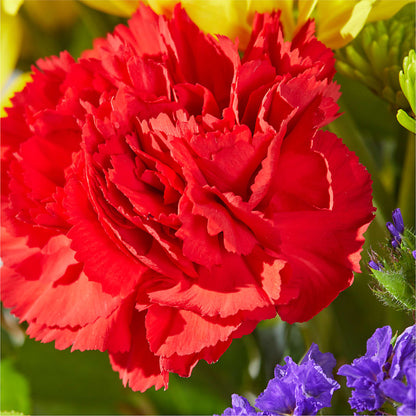 Brighter Days Bouquet –  Caines Flowers, Barberton OH