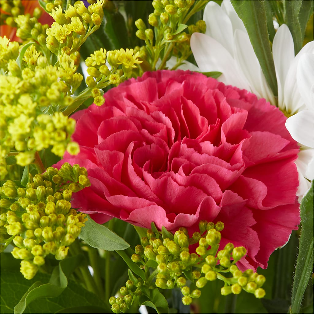 Oopsie Daisy Bouquet –  Caines Flowers, Barberton OH