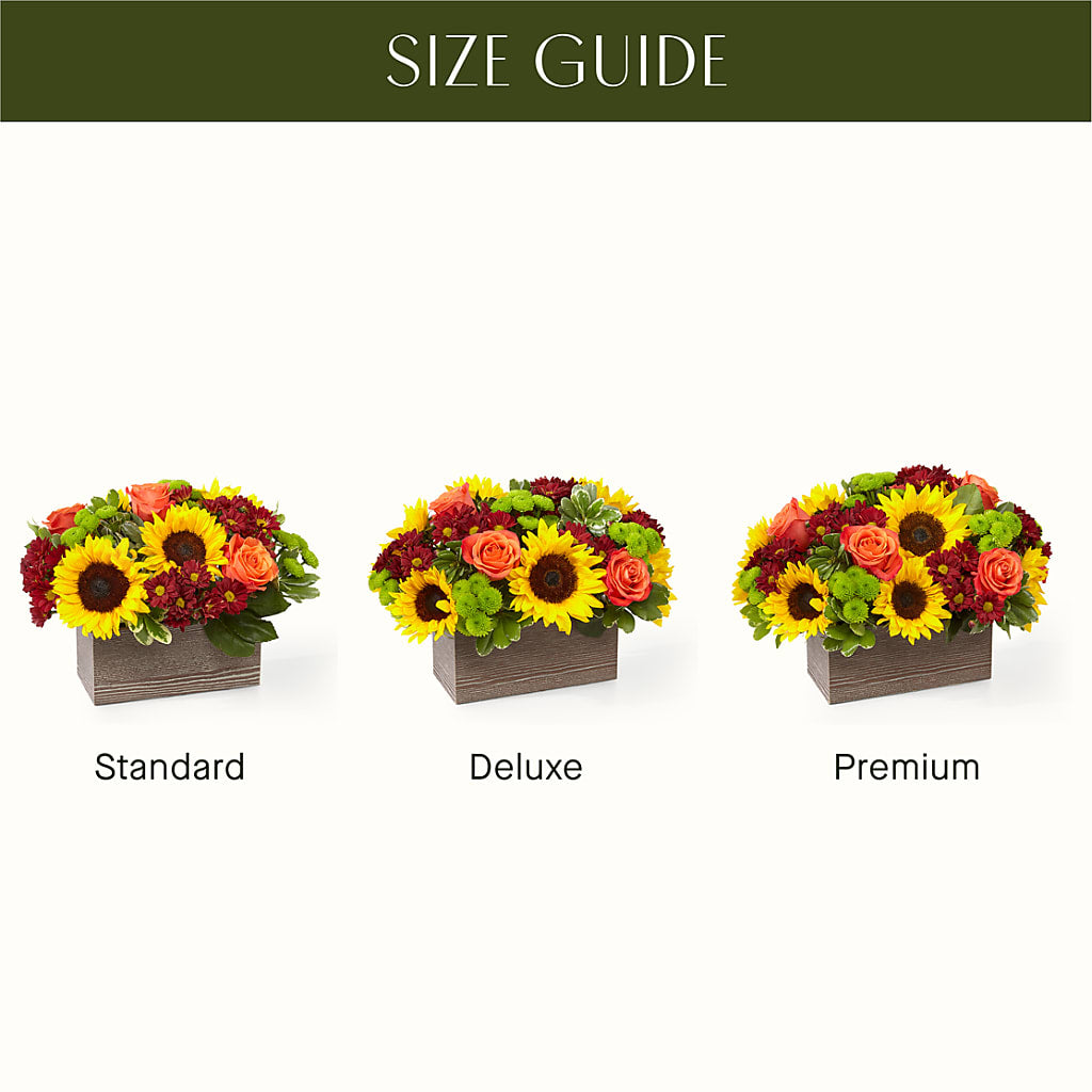 Happy Harvest Garden –  Caines Flowers, Barberton OH
