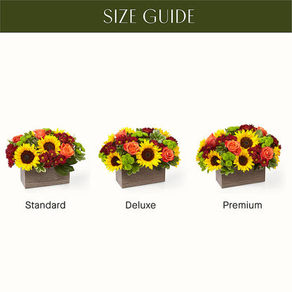 Happy Harvest Garden –  Caines Flowers, Barberton OH